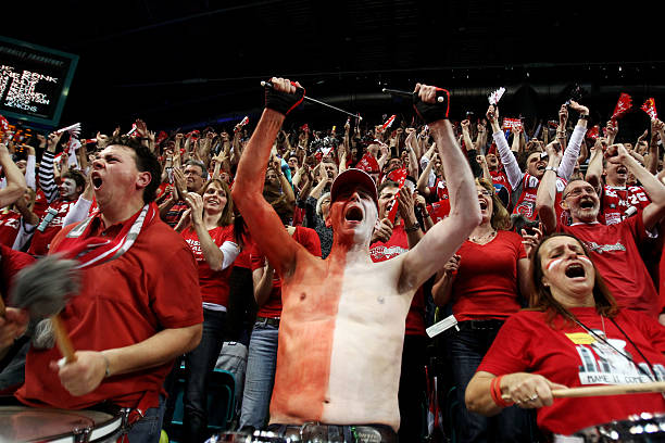 权威记者的 权威记者的